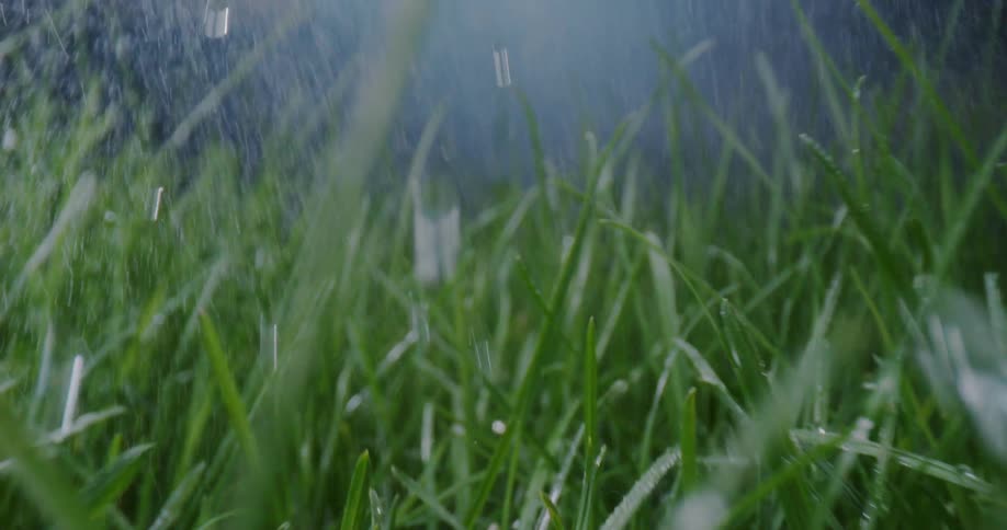 Water falls on blades of grass