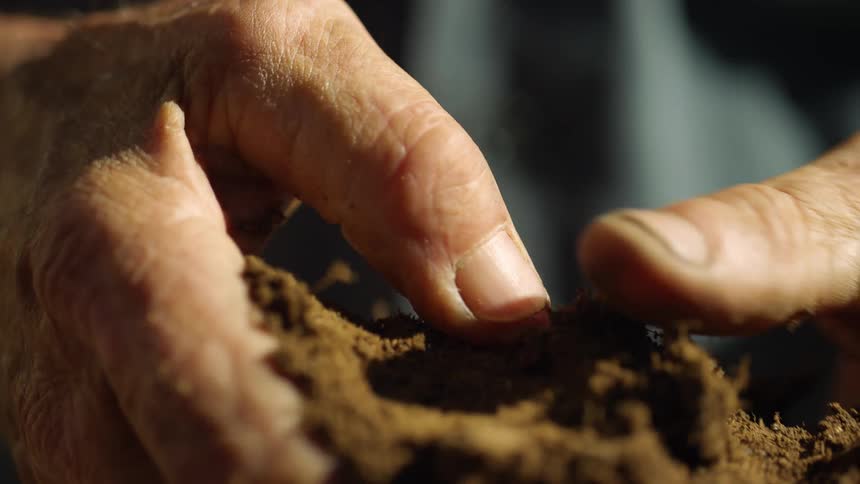 Hands squishing and breaking brown fertile soil and dirt