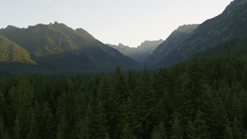 Flying low over a dense green forest as the morning sun lights up majestic mountains in the distance