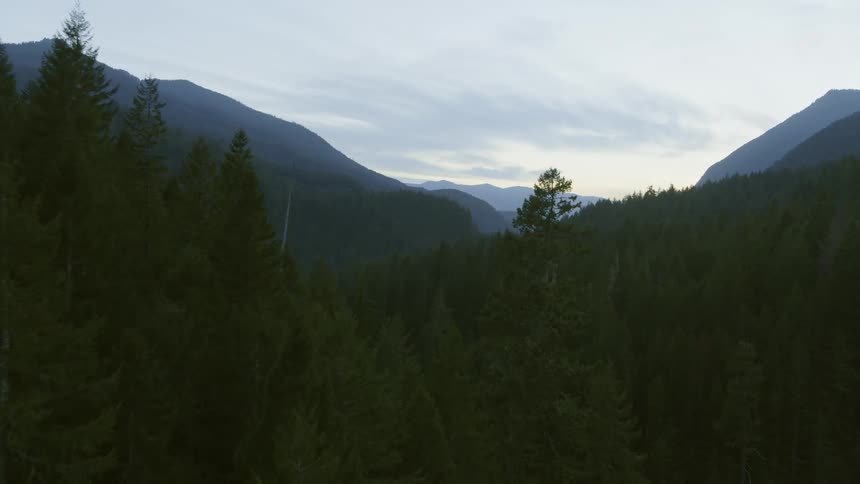 Low traverse over the tree line of a deep and layered valley forest