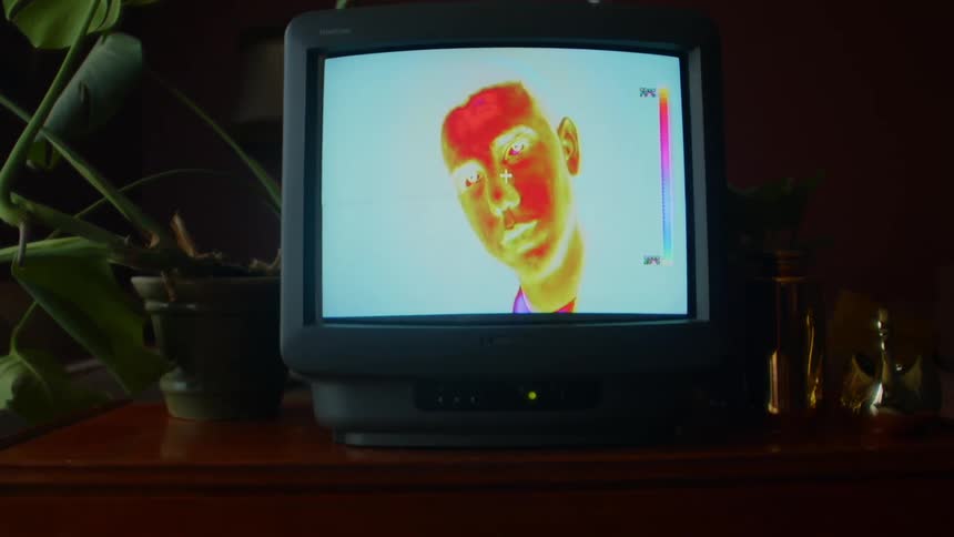 Television sitting near houseplant displays heat map of persons face