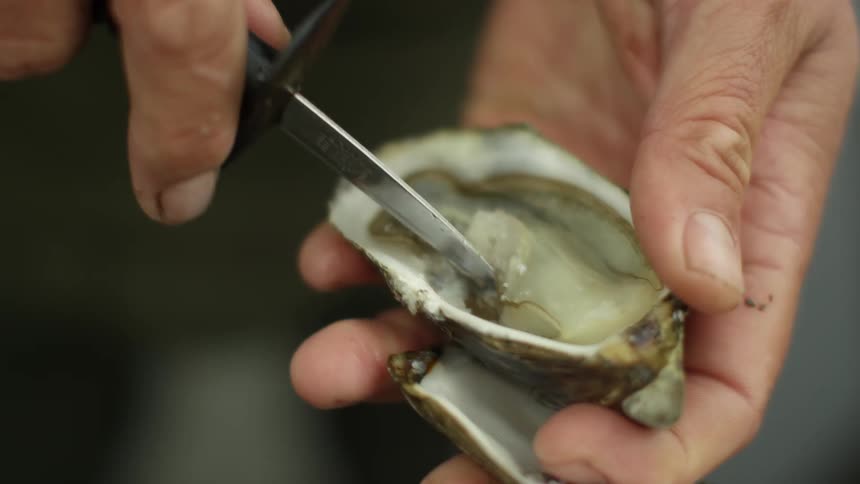 A man is digging an oyster out of the shell with a knife