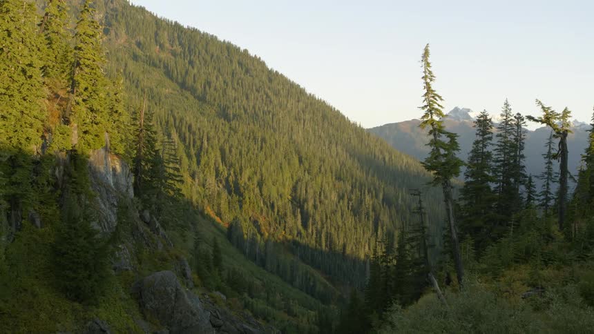 Slow traverse along the ridge of a mountain valley forest