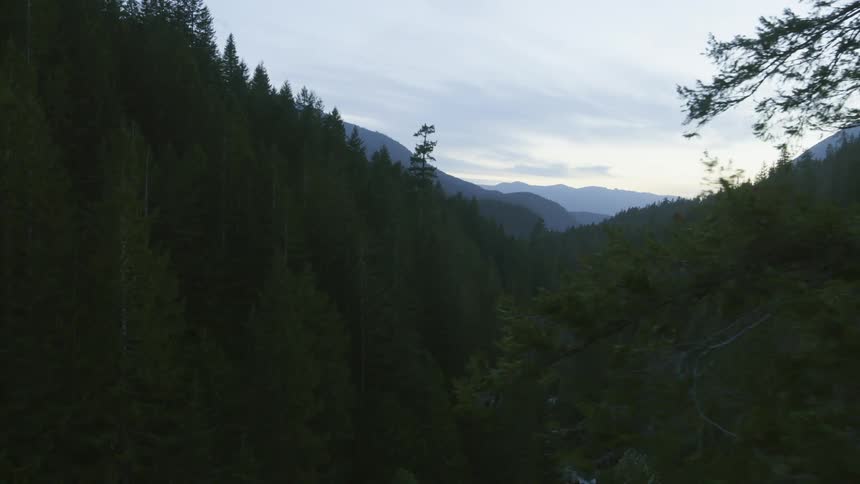 Reveal of a deep woods valley in a mountainous area at dusk