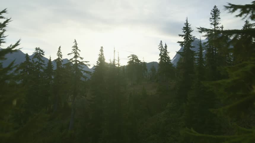 Flying through the trees on a steep ridge to reveal the sun rising behind a beautiful mountain range