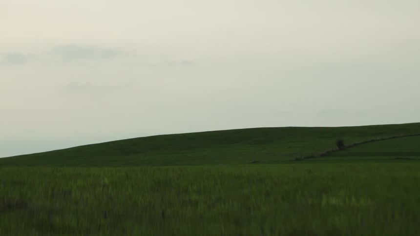 Green grass on the plains and hills in the countryside