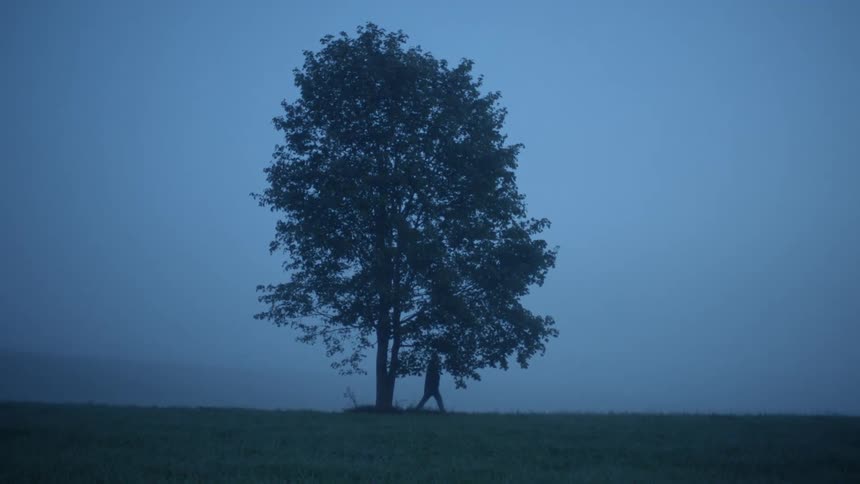 A person walking next to a tree