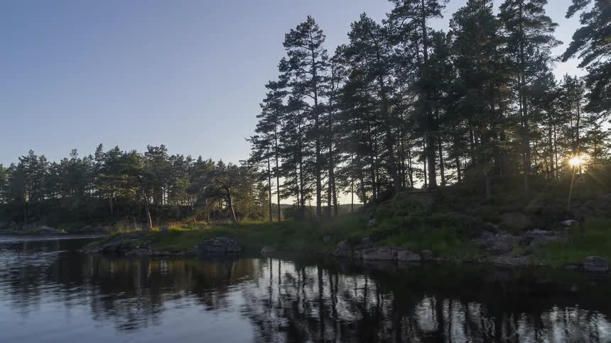 Tall trees reflect off clear lake water