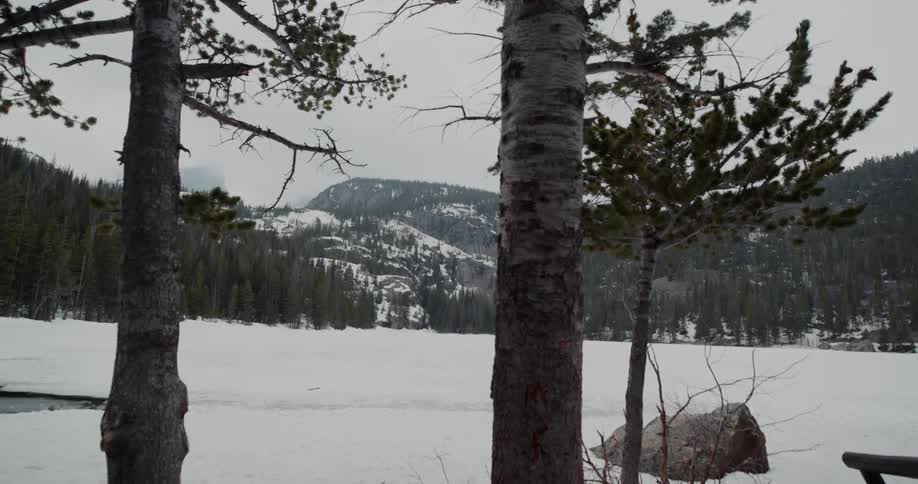 View of snowy field and forest on mountain slope under clouds