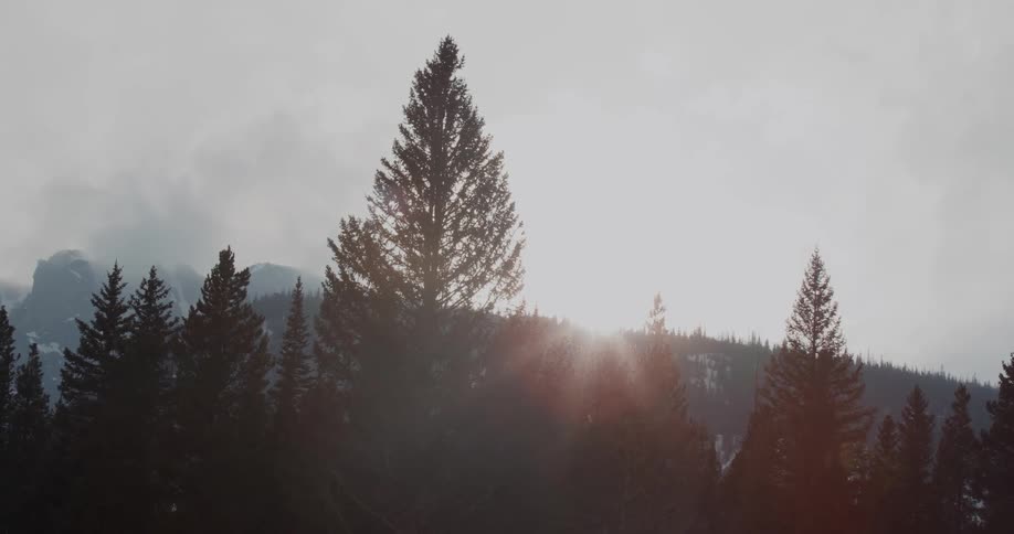 Trees with a mountain range the sun sky and clouds in the background
