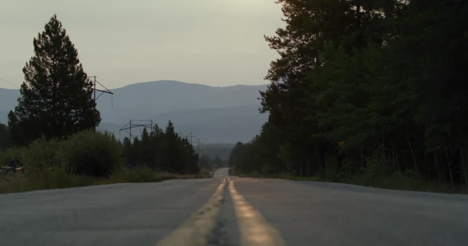 Road through the forest near the mountains at evening