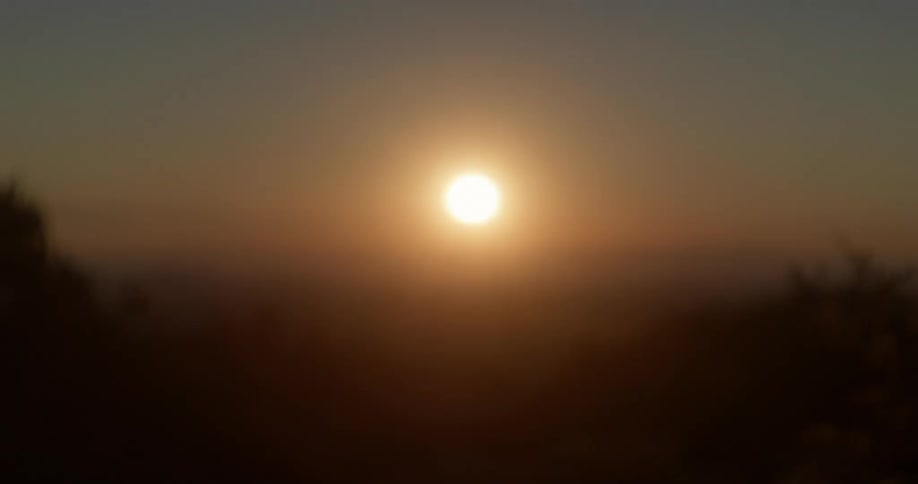 The sun rises over the forest