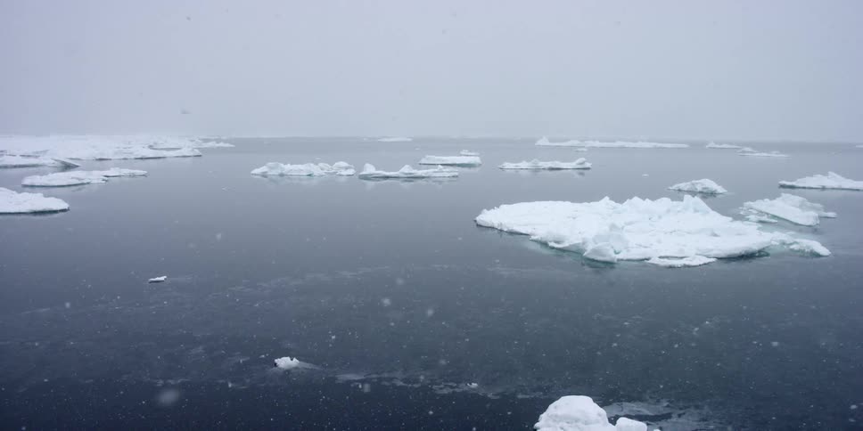 Ice floats in the water as it snows