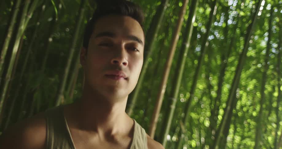 A man stares into the camera while standing in a bamboo forest