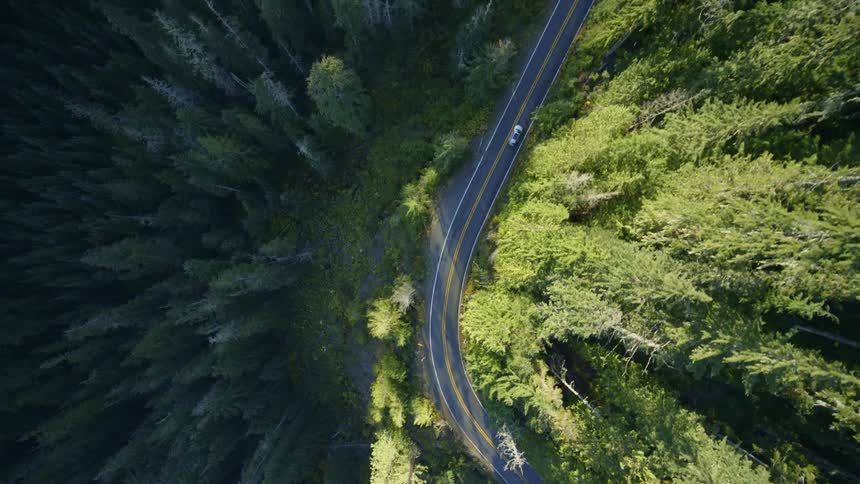 Overhead tracking shot of a car driving through a forest along a steep mountainside road