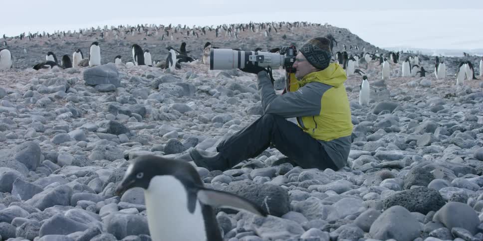 Antarctica