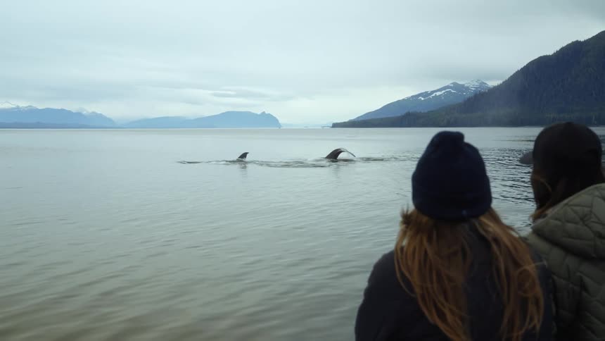 Two women with hats and jackets looking at whales in a body of water with a mountain range the sky and clouds in the background