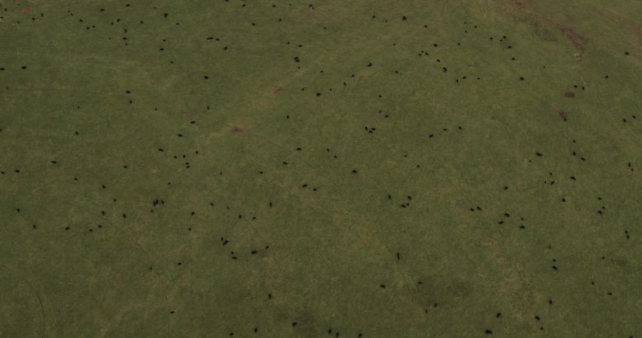 Small bushes and lightly drawn crop circles mark an open field