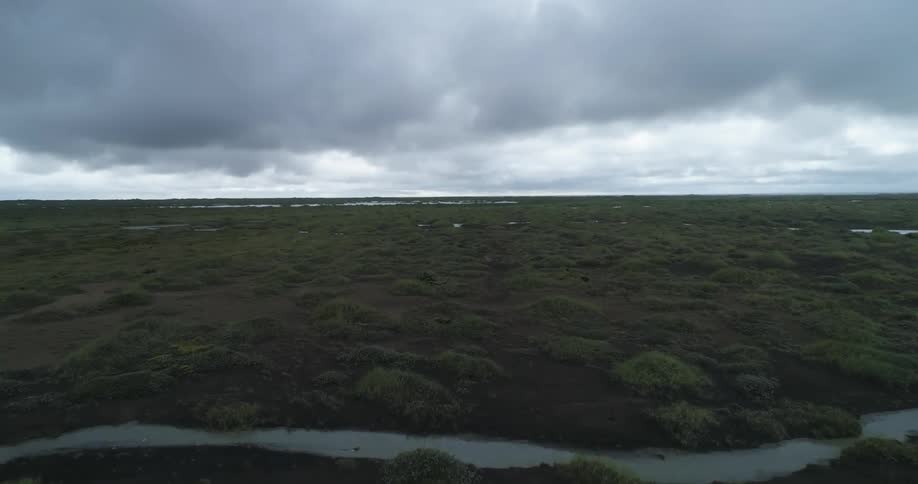 The green fields have rivers running through it