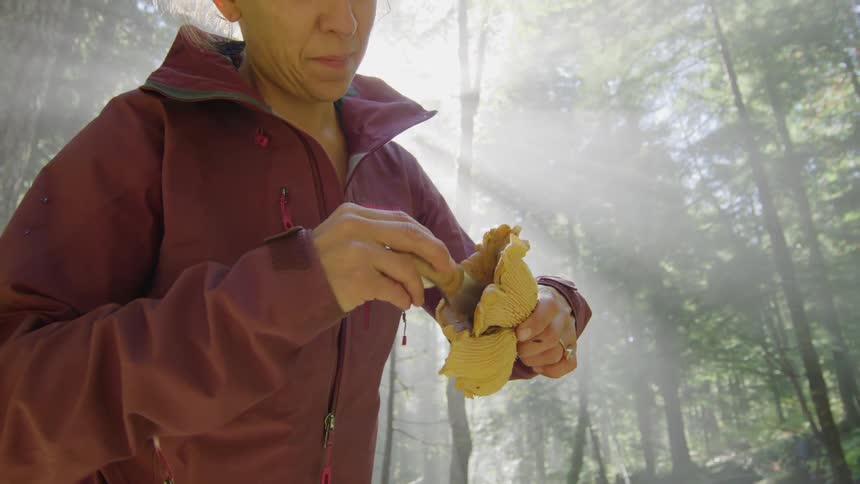 Woman with red raincoat and ring brushes big mushroom as the sun shines brightly in the forest