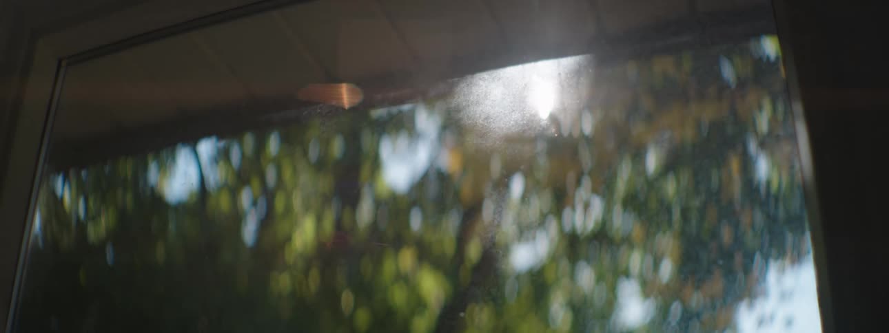 Sunlight shining through the trees into a window