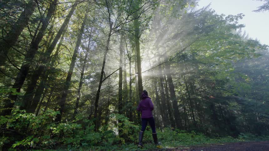 Woman wearing a plum colored jacket hikes along path past woods as sun shines god rays brightly through trees