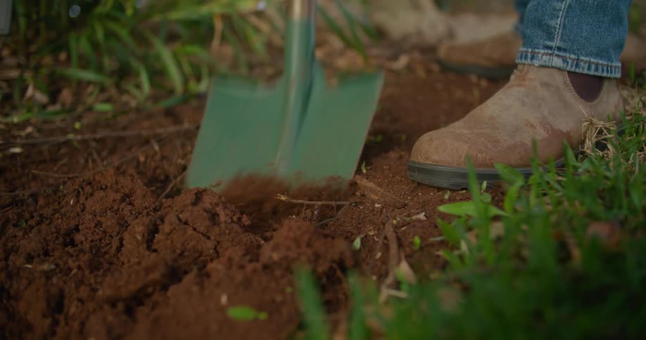 A man is using a shovel to break up some dirt