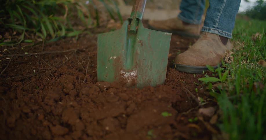 Man with brown shoes and jeans digs soil using green shovel