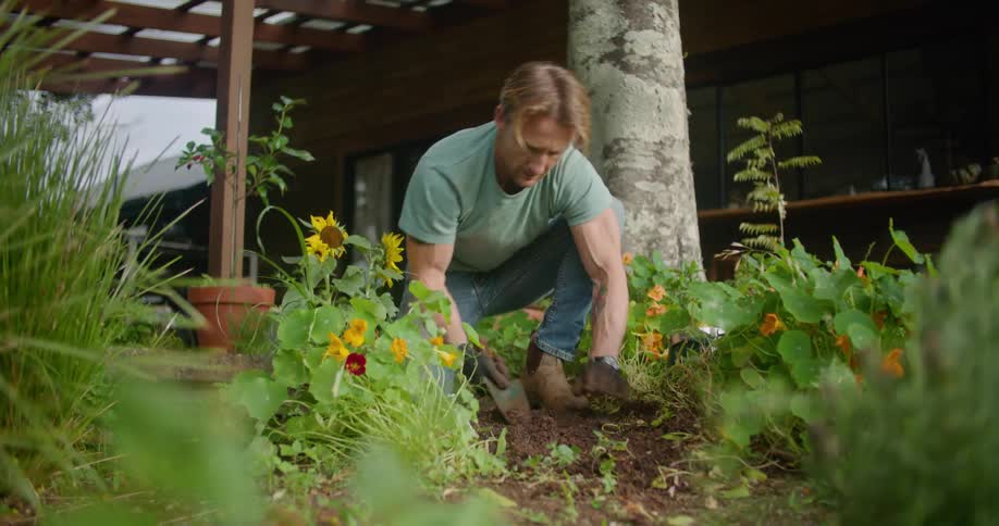 A man planting flowers in a garden outdoors