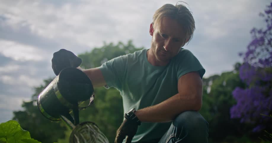 Man half kneels watering garden with a watering can