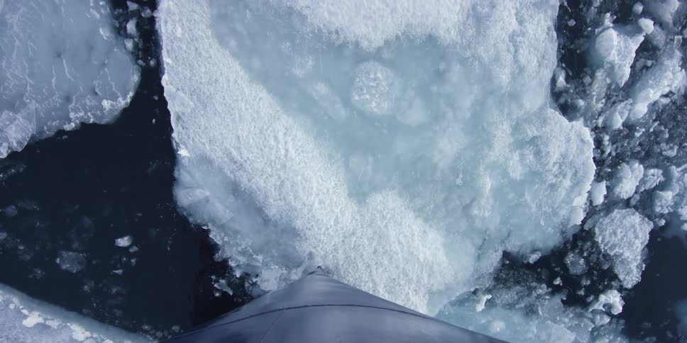 Metal pushes icebergs aside or breaks them into smaller pieces