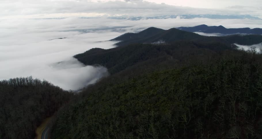 Forest and mountains show above low lying clouds