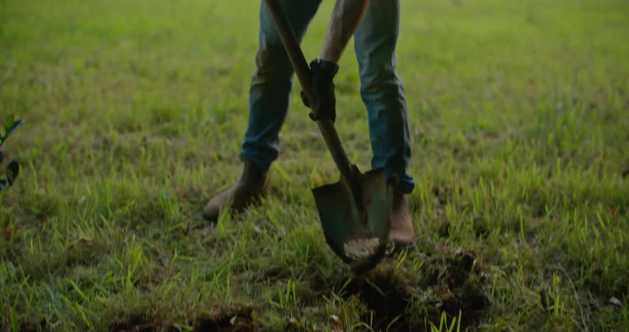 A man steps on the edge of a shovel to help dig a hole in the grass in his yard