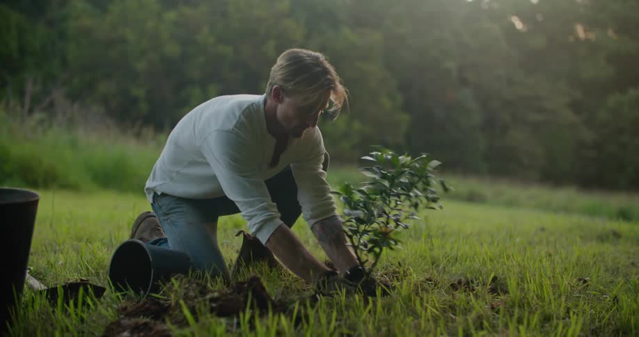 Person planting