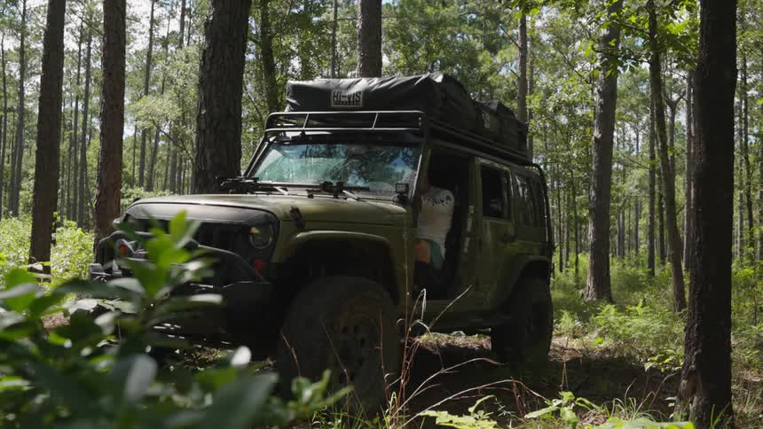 A man drives his vehicle in a forest and then stops and gets out and looks around