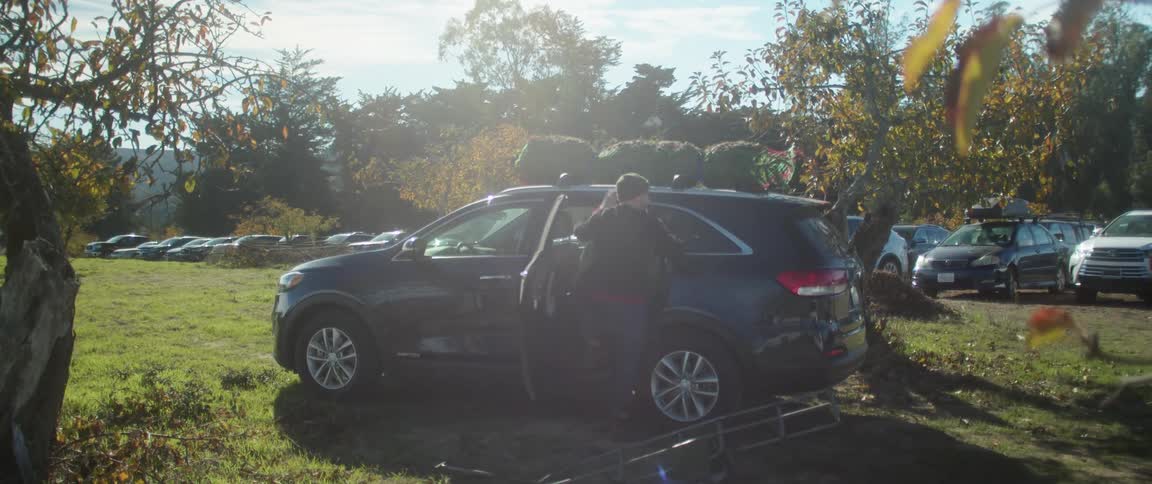 Person tying tree to car