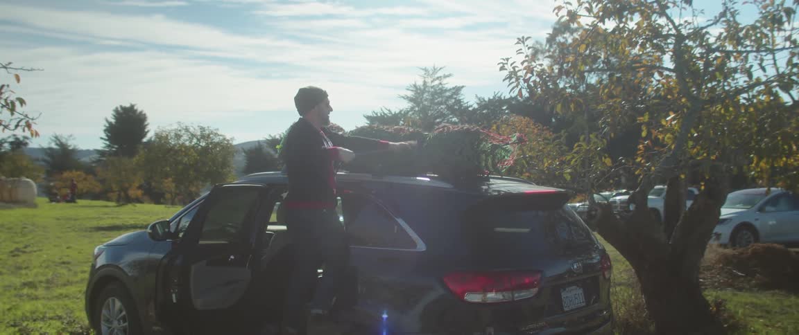 A man wraps a christmas tree on top of his vehicle