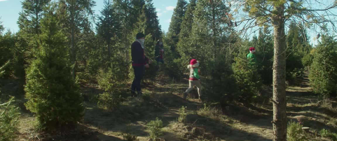 A family are shopping for a christmas tree