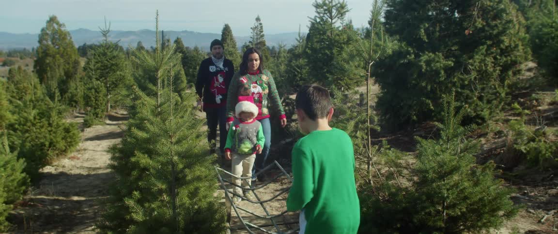 Family looking at trees