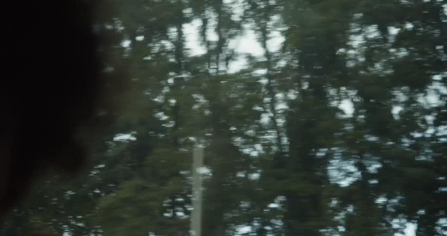 Mans head with curly hair sitting in back seat of car looking out window of moving car is silhouetted against the trees