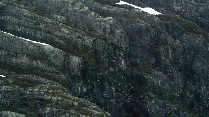The birds fly around the side of the mountain