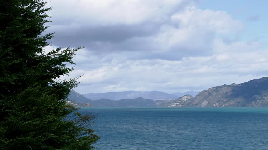 Mist covers mountains on shore across blue water from conifer tree