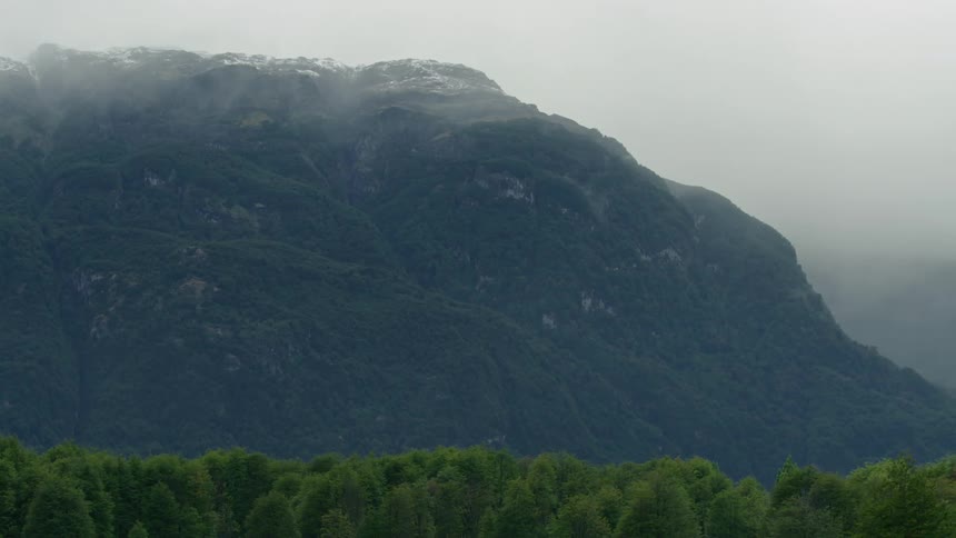 Forest borders mountain obscured by fog