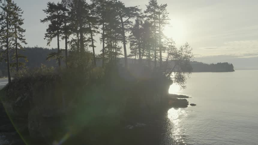 Sunlight streams through the trees on a small island near a secluded bay at low tide