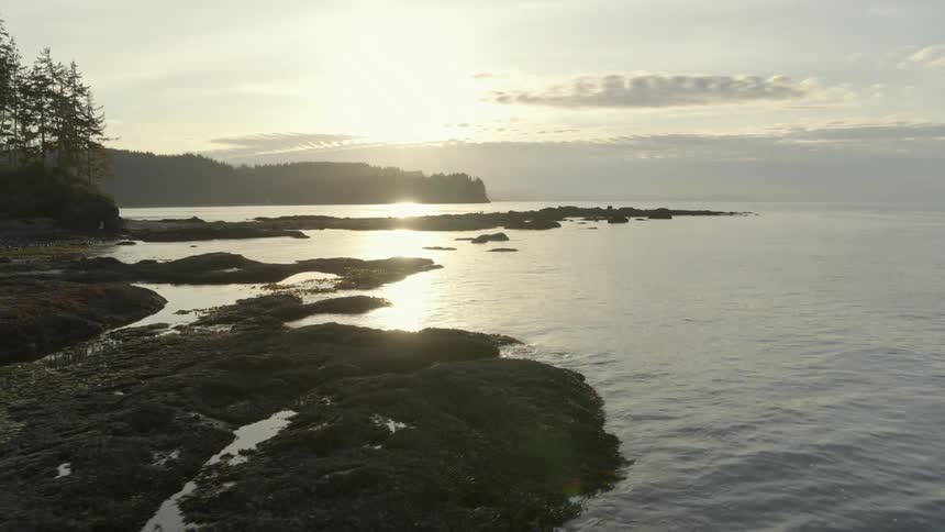 Subtle orbit around a rocky coastline with numerous tidepools as sunshine glints off the calm water