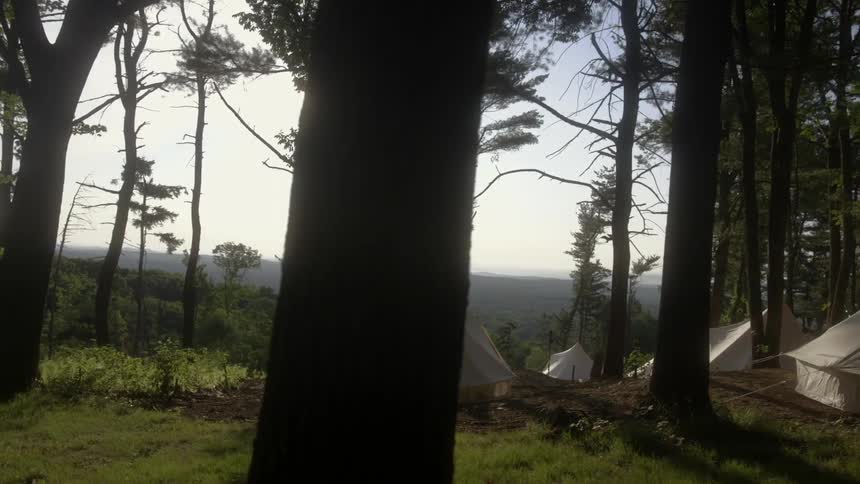 Multiple tents are set up in a wooded area