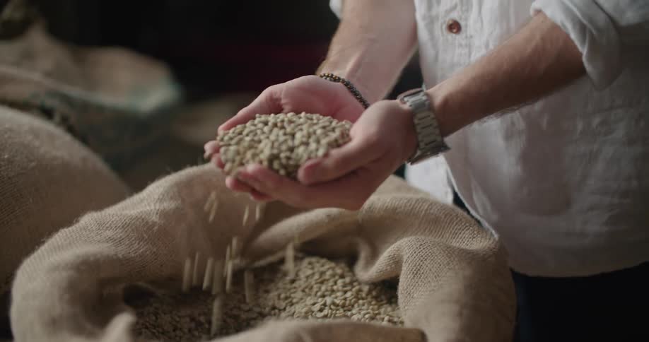 A man runs his fingers through a burlap sack of beans