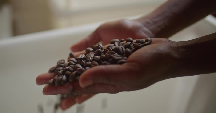 Person holding coffee beans