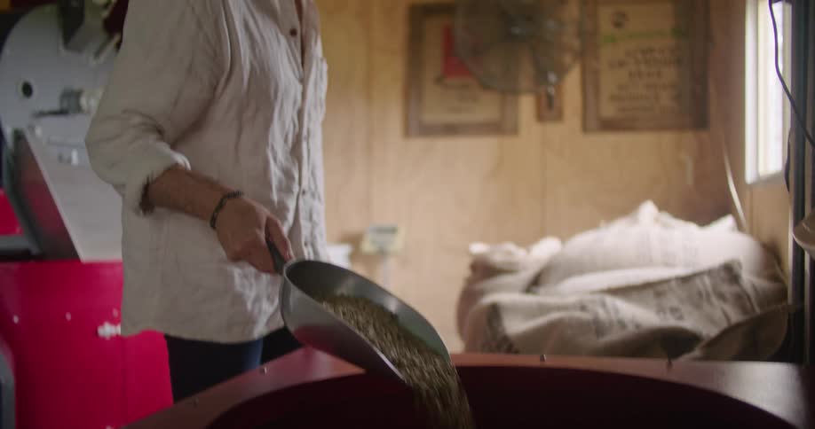 A man scoops coffee beans out of a sack and pours them into a sorter while looking at the display