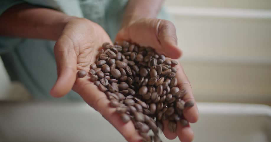 Person holding coffee beans